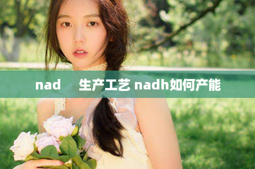 nad     生产工艺 nadh如何产能