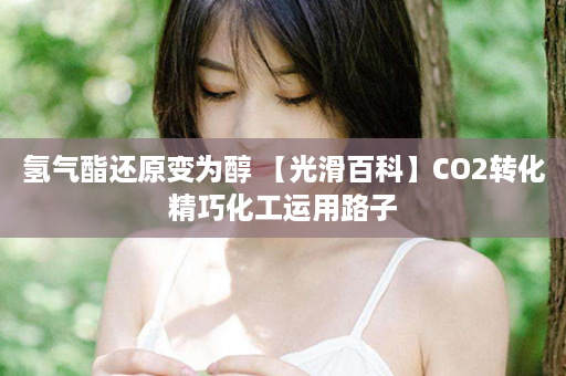 氢气酯还原变为醇 【光滑百科】CO2转化精巧化工运用路子