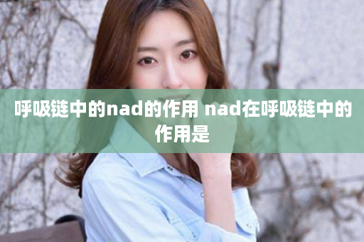 呼吸链中的nad的作用 nad在呼吸链中的作用是