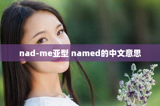 nad-me亚型 named的中文意思