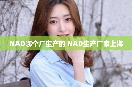 NAD哪个厂生产的 NAD生产厂家上海