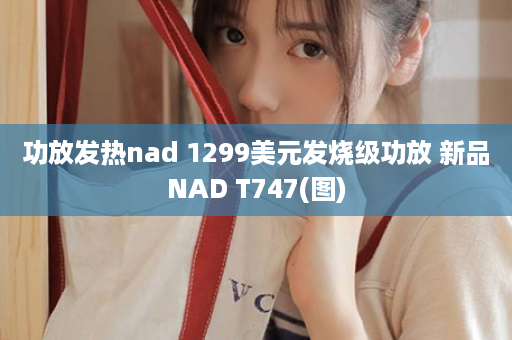 功放发热nad 1299美元发烧级功放 新品NAD T747(图)