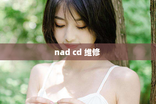 nad cd 维修 