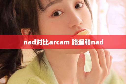 nad对比arcam 路遥和nad