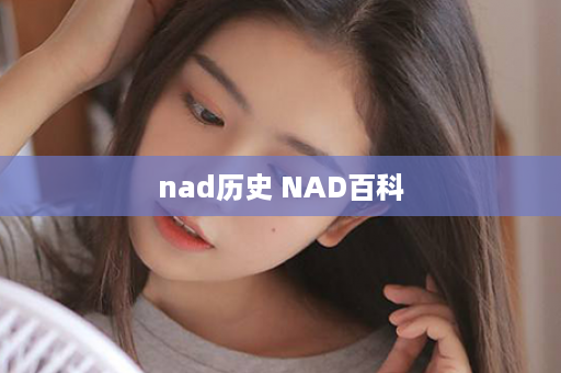 nad历史 NAD百科